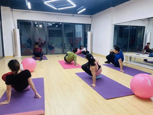 深耕社區(qū)文化品牌建設(shè)，賦能城市美好生活新篇章——金地海南公司場地設(shè)施經(jīng)營探索