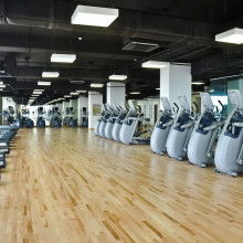 2018年健身器材市場概覽 批發(fā)報(bào)價(jià)與選購指南（第六頁）